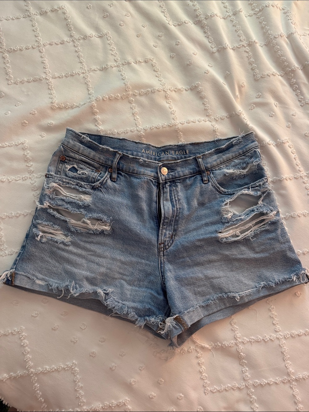American Eagle Outfitters Distressed Light Blue Denim Shorts